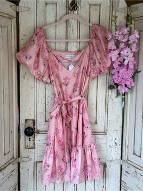 LoveShackFancy target Pink Rose Print V-Neck Dress sz 12